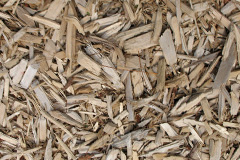 biomass boilers Bryn Du